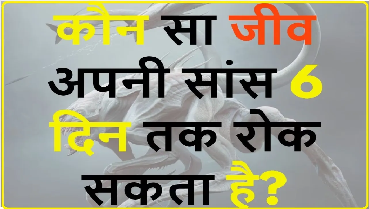 General Knowledge Trending Quiz || कौन सा जीव अपनी सांस 6 दिन तक रोक सकता है?