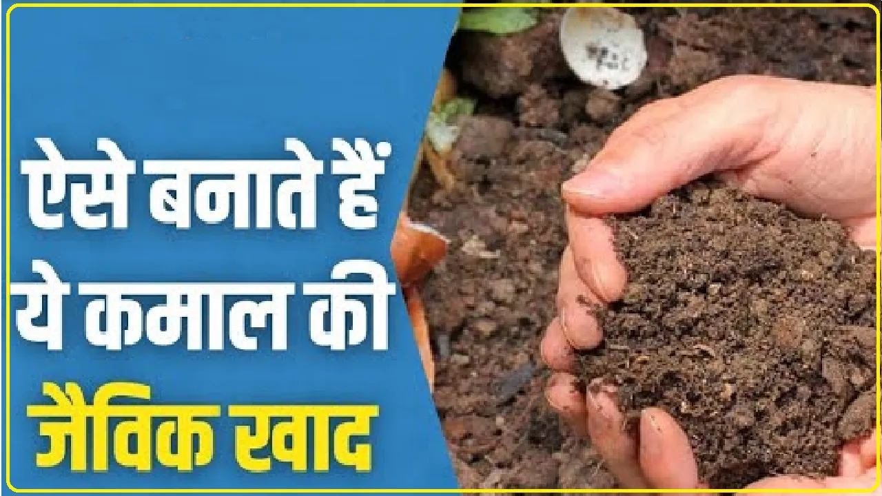 Organic Farming || किसानों के लिए जबरदस्त जैविक खेती करने  का तरीका, हर साल होगी लाखों की कमाई 