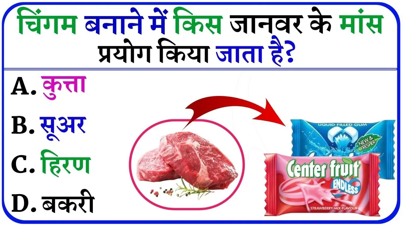 interesting Quiz || चिंगम में किस जानवर का मांस मिलाया जाता है, क्या आपको पता है इसका उत्तर?