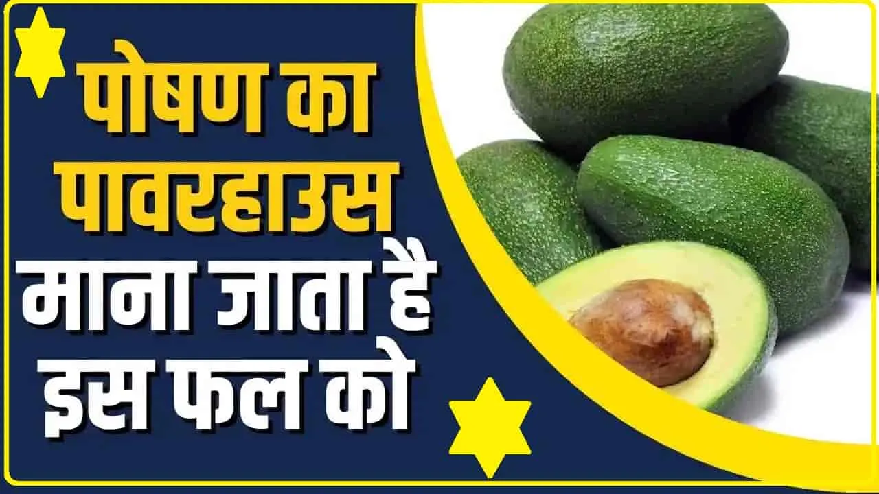 Avocado Every Day || कम लोग खाते हैं इस फल को, माना जाता है पोषण का पावरहाउस, खास तरह से खाने के नतीजों ने चौंकाया