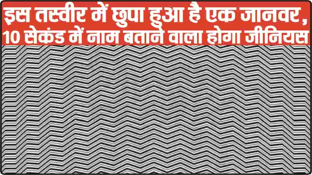 Optical Illusion || इस तस्वीर में छुपा हुआ है एक जानवर, 10 सेकंड में नाम बताने वाला होगा जीनियस