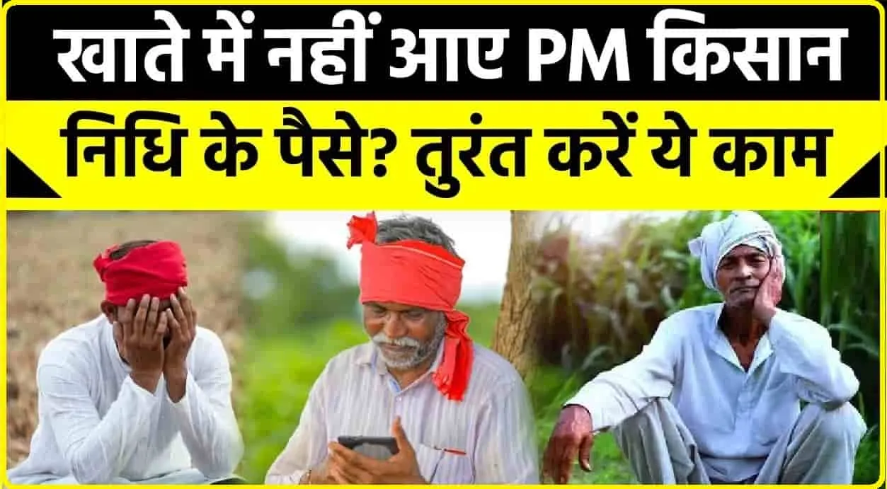 PM Kisan Samman Nidhi New Beneficiary || रजिस्‍ट्रेशन के बाद भी नहीं मिली 2000 रु की 16वीं किस्‍त, करें भूल सुधार, मिल जाएंगे रुके पैसे