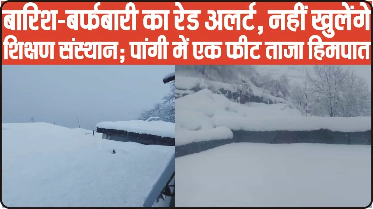 Himachal Weather Update || बारिश-बर्फबारी का रेड अलर्ट, पांगी में 1 फीट ताजा हिमपात, शिक्षण संस्थानों में छुट्टी घो​षित