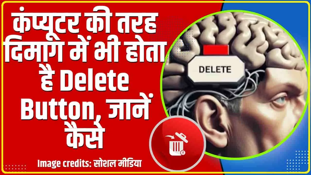 Mental Health ||  आपके दिमाग में भी होता है Delete Button, मिट सकती हैं कड़वी यादें, ऐसे करें इस्तेमाल