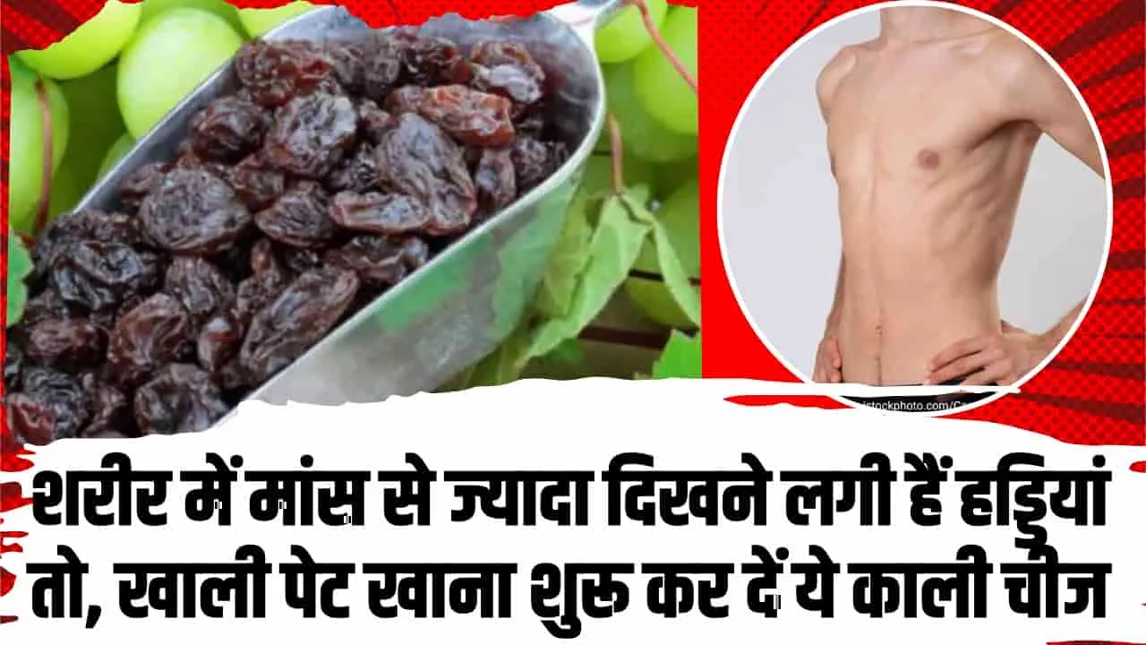 Weigh gain health tips || शरीर में मांस से ज्यादा दिखने लगी हैं हड्डियां तो, खाली पेट खाना शुरू कर दें ये काली चीज, तेजी से वजन बढ़ाने में करेगा मदद!