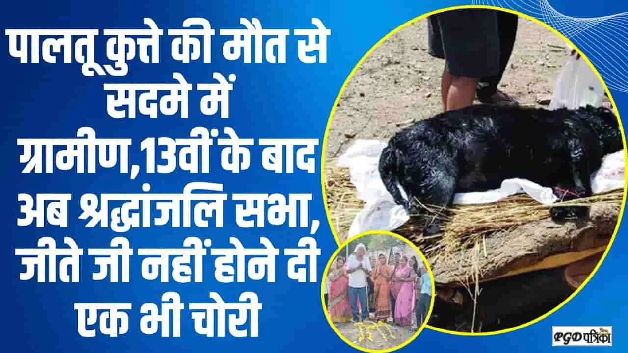 OMG || पालतू कुत्ते की मौत से सदमे में ग्रामीण,13वीं के बाद अब श्रद्धांजलि सभा, जीते जी कुत्ते ने गांव नहीं होने दी एक भी चोरी