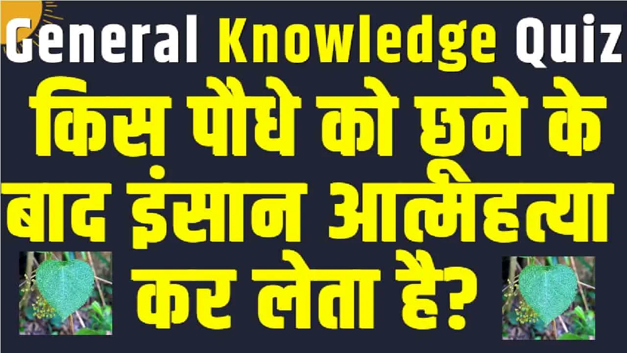 General Knowledge Quiz ||  किस पौधे को छूने के बाद इंसान आत्महत्या कर लेता है?