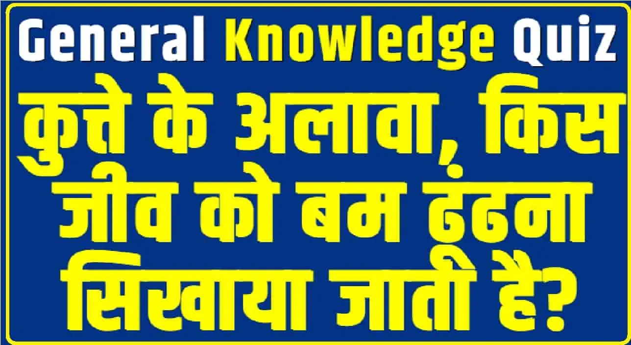 Trending Quiz || कुत्ते के अलावा, किस जीव को बम ढूंढना सिखाया जाता है?