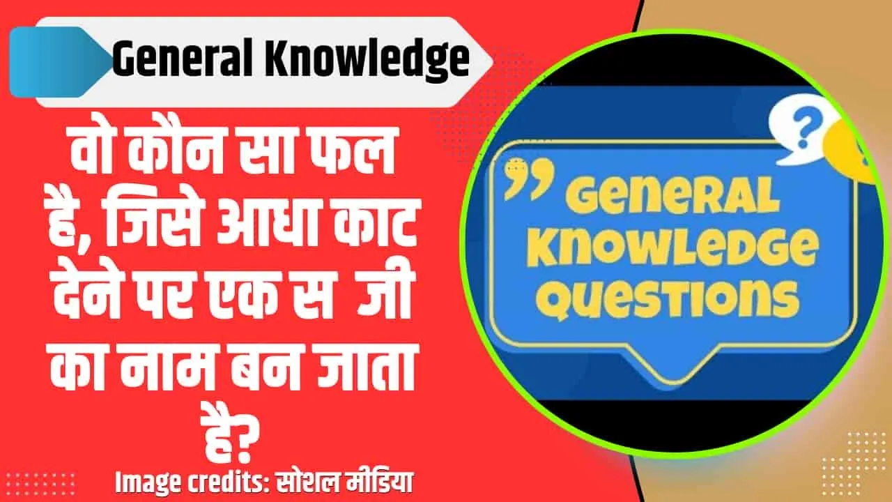 General Knowledge Quiz || ये जीव लोहे की कील को भी हजम कर सकता है, आपको पता है नाम?