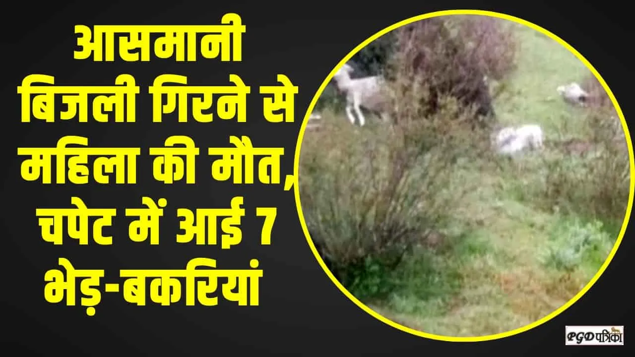 Himachal News || आसमानी बिजली गिरने से महिला की मौत, चपेट में आई 7 भेड़-बकरियां 