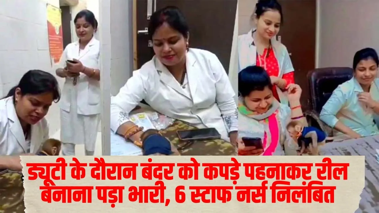 Watch Video : अस्पताल में ड्यूटी के दौरान बन्दर के साथ बनाई रील, छह स्टाफ नर्स हुई निलंबित