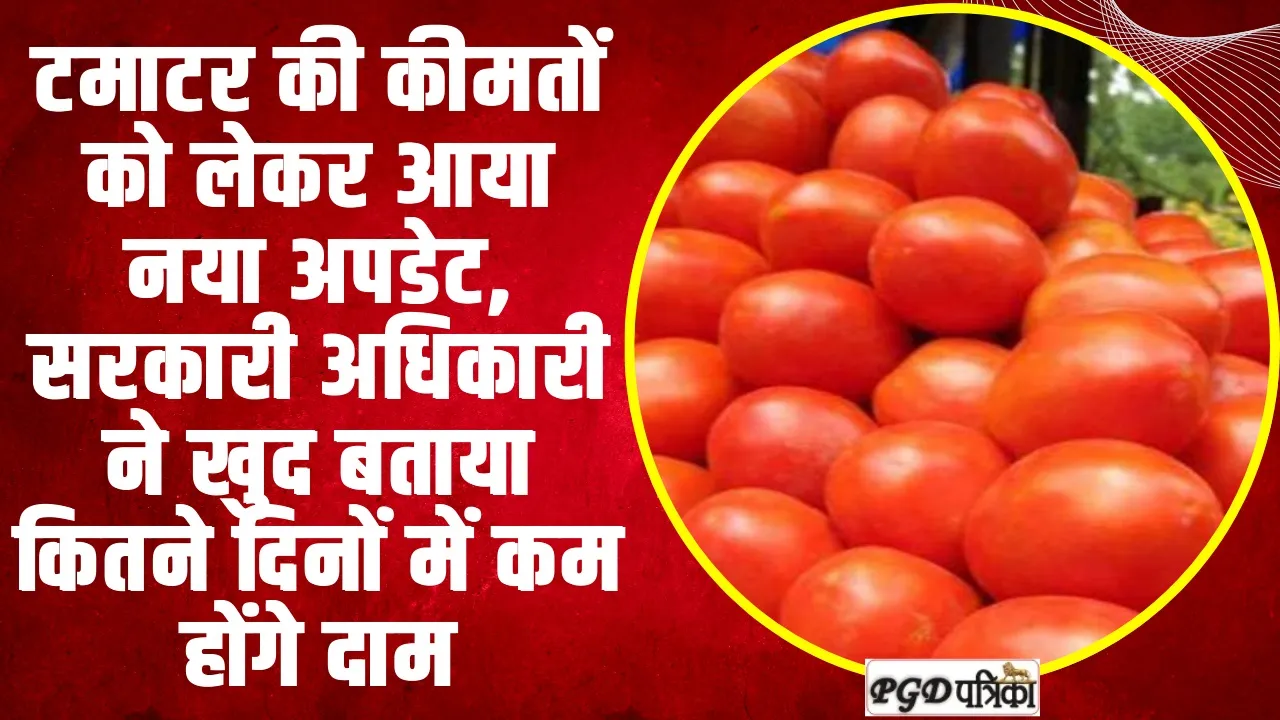 Tomato Price Hike | टमाटर की कीमतों को लेकर आया बड़ा अपडेट, इन दिन से कम होंगे दाम 