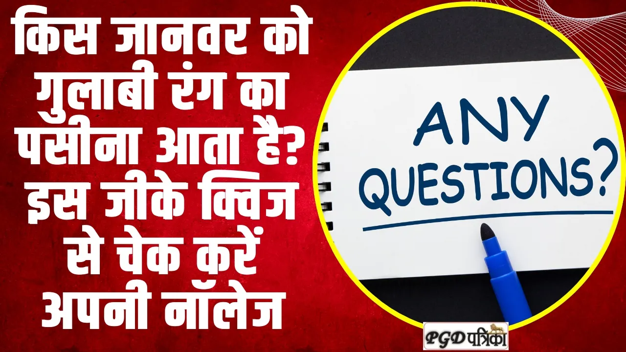 Top 10 GK Questions in Hindi | किस जानवर को गुलाबी रंग का पसीना आता है? इस जीके क्विज से चेक करें अपनी नॉलेज