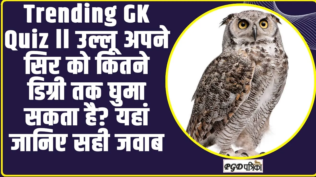 Trending GK Quiz ll उल्लू अपने सिर को कितने डिग्री तक घुमा सकता है? यहां जानिए सही जवाब