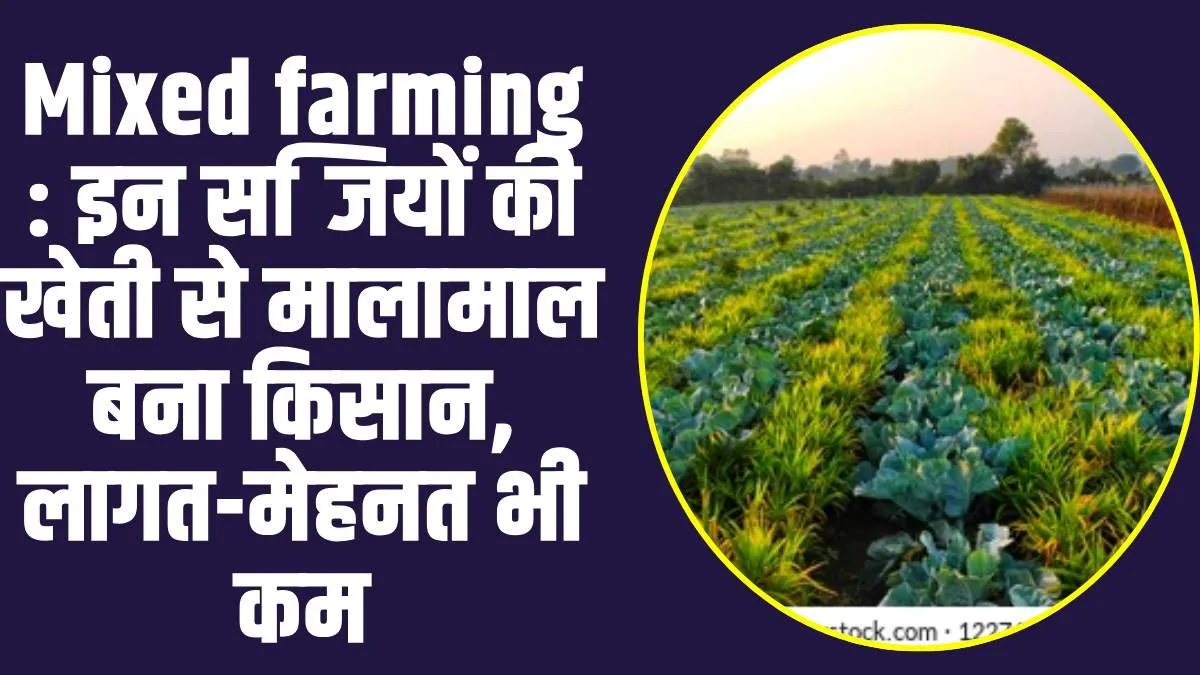 farmers business ideas : इन सब्जियों की खेती से मालामाल बना किसान, अब हर महीने होती तगड़ी कमाई 