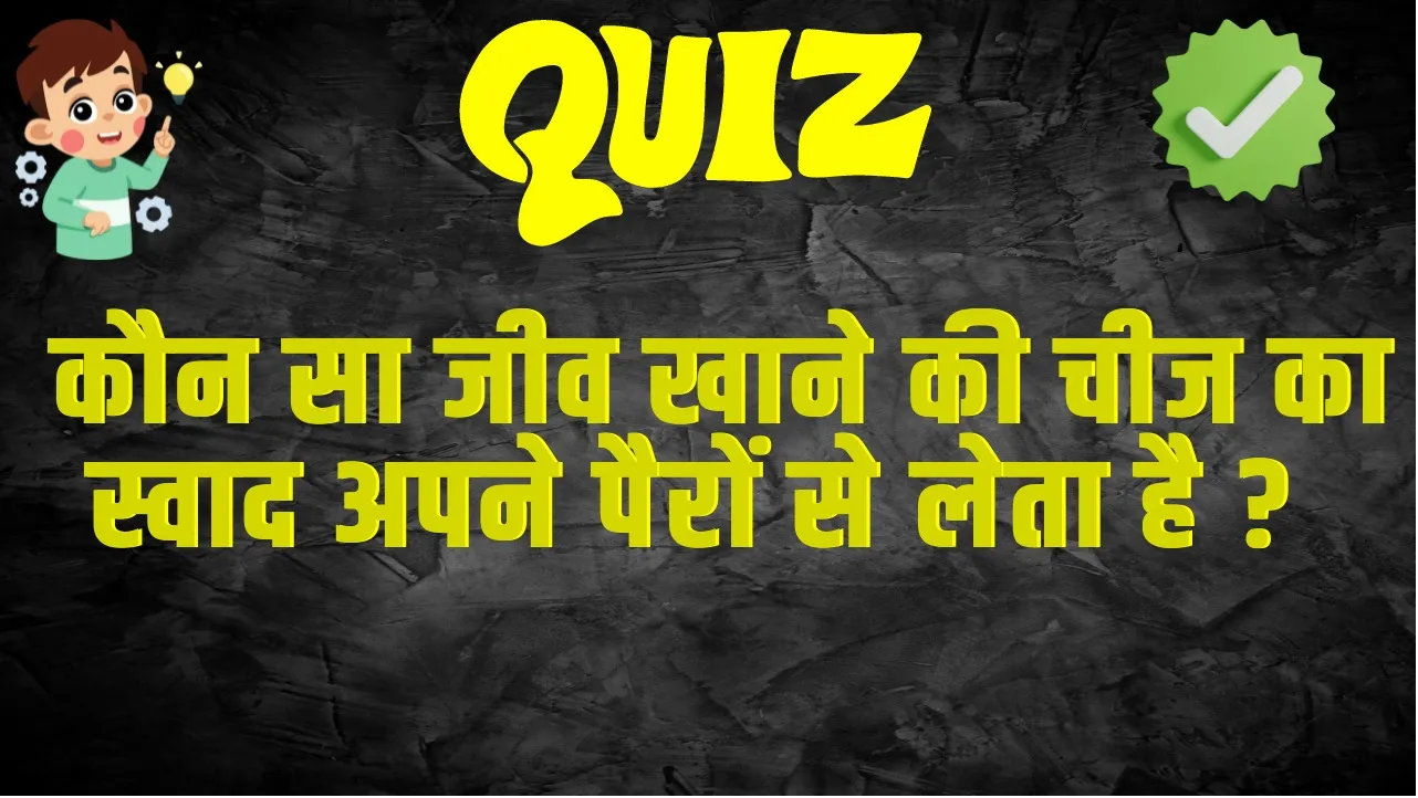 General Knowledge Quiz : कौन सा जीव खाने की चीज का स्वाद अपने पैरों से लेता है ?