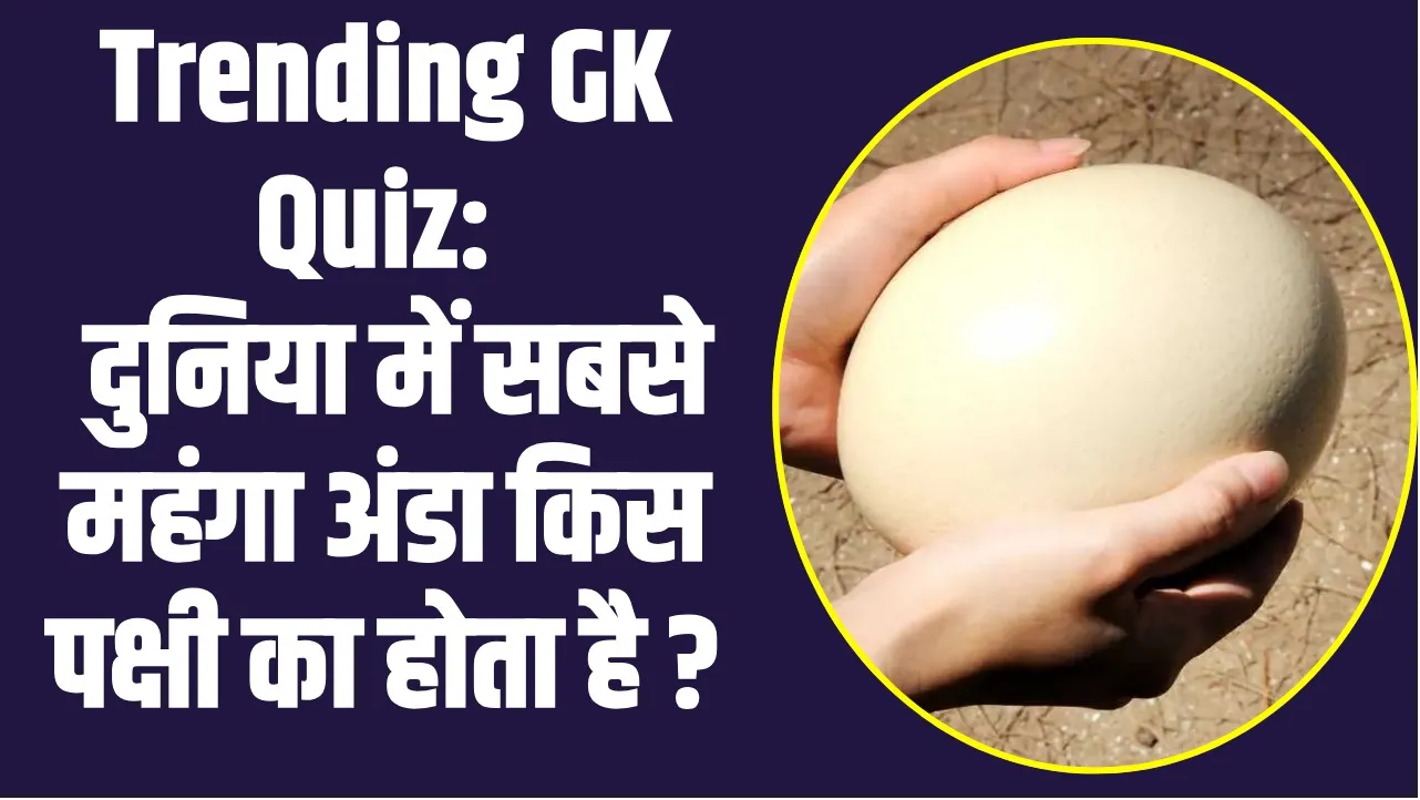 GK Quiz In Hindi :  दुनिया में सबसे महंगा अंडा किस पक्षी का होता है ?