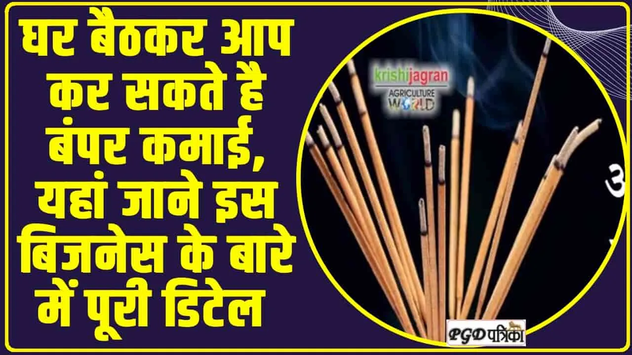 Business Idea : घर बैठकर आप कर सकते है बंपर कमाई, यहां जाने इस बिजनेस के बारे में पूरी डिटेल 