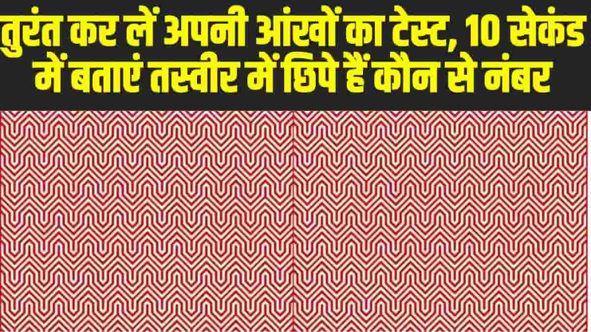 Optical Illusion : तुरंत कर लें अपनी आंखों का टेस्ट, 10 सेकंड में बताएं तस्वीर में छिपे हैं कौन से नंबर