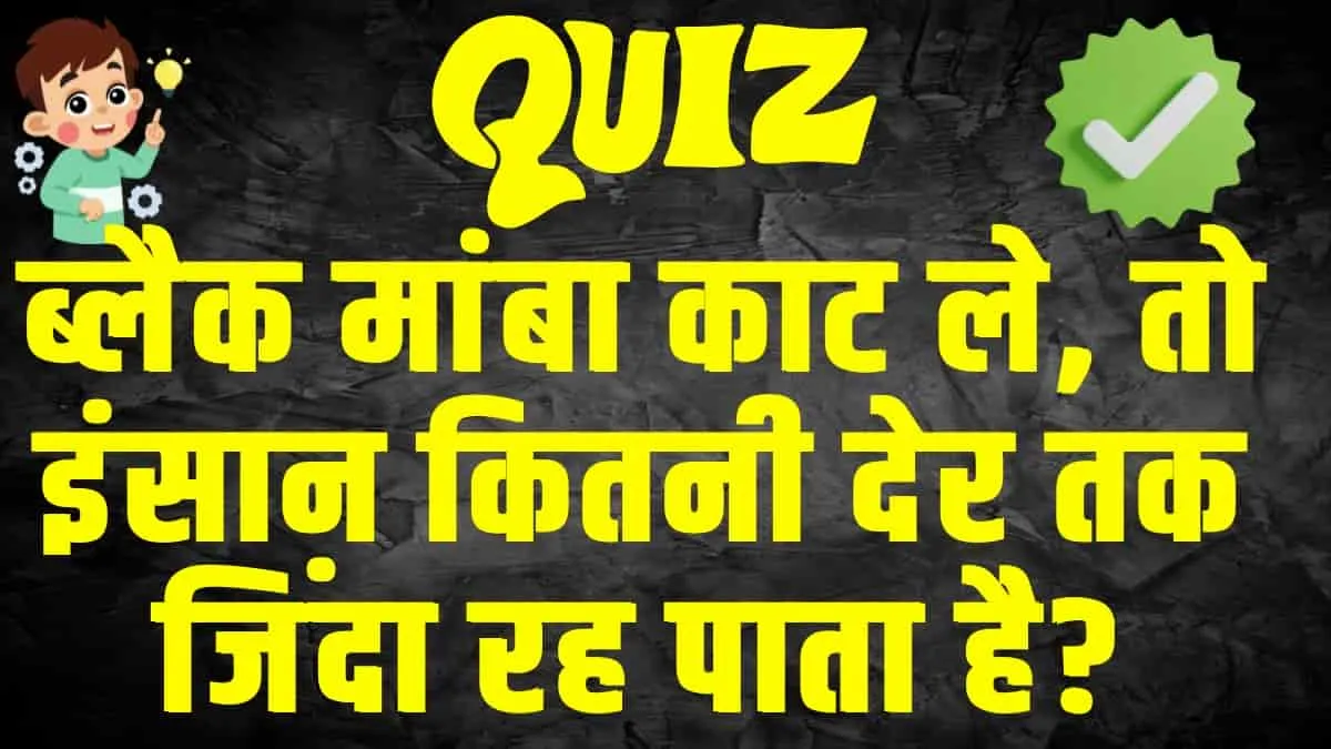 General Knowledge Trending Quiz : ब्लैक मांबा काट ले, तो इंसान कितनी देर तक जिंदा रह पाता है?