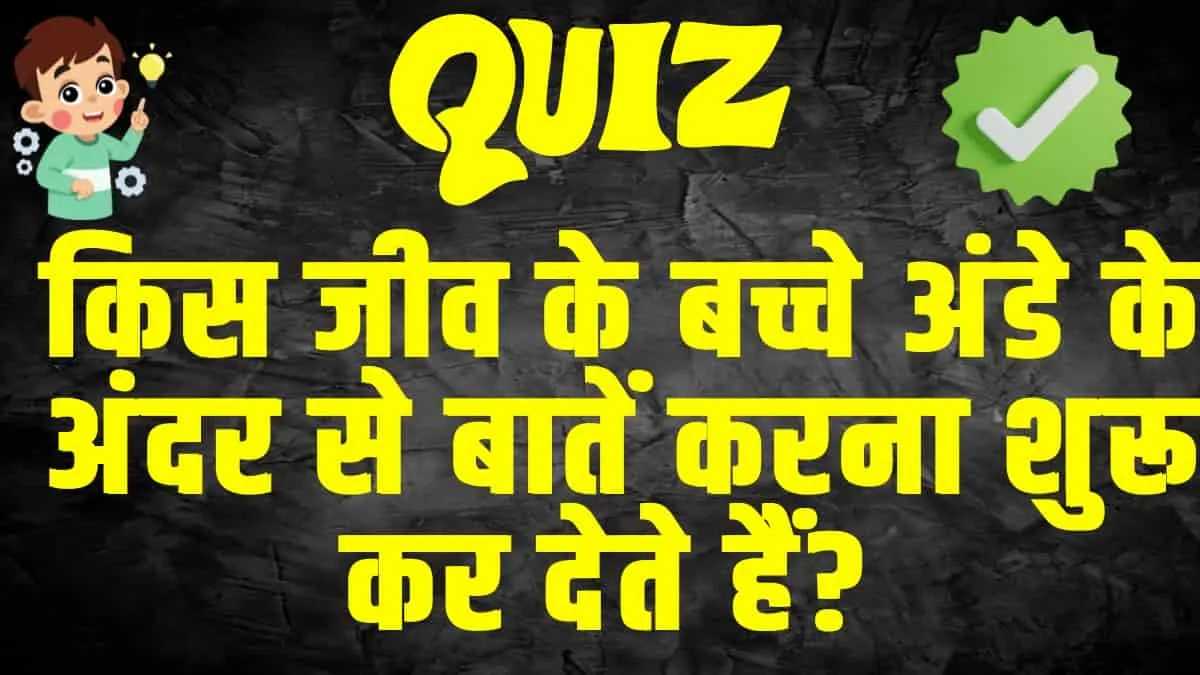 GK Quiz in Hindi : किस जीव के बच्चे अंडे के अंदर से बातें करना शुरू कर देते हैं?