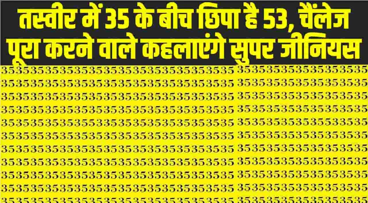 Optical Illusion: तस्वीर में 35 के बीच छिपा है 53, चैंलेज पूरा करने वाले कहलाएंगे सुपर जीनियस