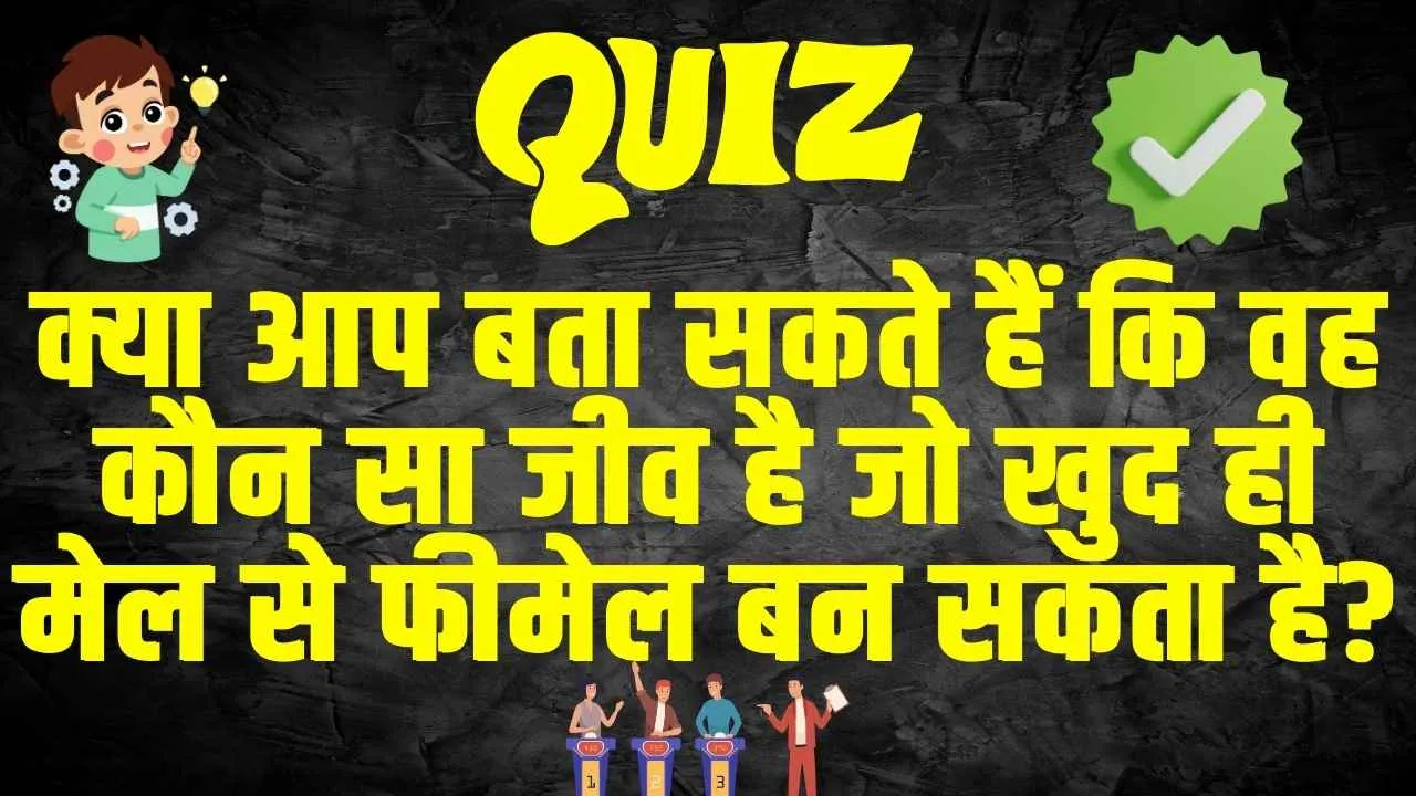 General Knowledge: क्या आप बता सकते हैं कि वह कौन सा जीव है जो खुद ही मेल से फीमेल बन सकता है?