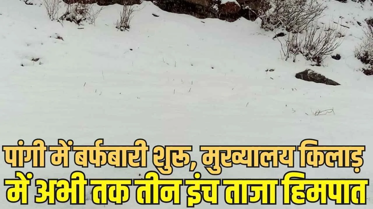 Snowfall in Pangi: पांगी में बर्फबारी शुरू, सुराल से किलाड़ रूट पर आ रही HRTC बस फंसी 