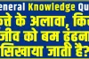 Trending Quiz || कुत्ते के अलावा, किस जीव को बम ढूंढना सिखाया जाता है?