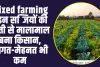 farmers business ideas : इन सब्जियों की खेती से मालामाल बना किसान, अब हर महीने होती तगड़ी कमाई 