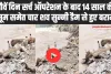 Himachal Disaster: नौवें दिन सर्च ऑपरेशन के बाद 14 साल की मासूम समेत चार शव सुन्नी डैम से हुए बरामद  