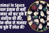 Animal in Space :  केवल इंसान ही नहीं जानवर भी कर चुके हैं अंतरिक्ष की सैर, कौन-कौन से जानवर जा चुके हैं स्पेस में?