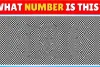 Optical Illusion: दिमाग हिला देने वाली फोटो, दम है तो इस फोटो में रहस्यमयी संख्या क्या है, सेंकड में खोजना होगा जवाब