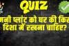 Trending Quiz : मनी प्लांट को घर की किस दिशा में रखना चाहिए?