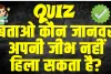 General Knowledge Questions With Answers : बताओ कौन जानवर अपनी जीभ नहीं हिला सकता है?