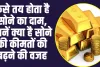 How to Decided Gold Silver Price : सोने की कीमत कैसे तय होती है? जानें पूरी प्रक्रिया और कारण