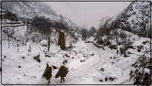  Himachal Weather Update || हिमाचल के कई हिस्सों में बिगड़ा मौसम, लाहौल में हिमपात, इस दिन से मौसम साफ रहेगा मौसम