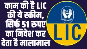 LIC Aadhaar Shila Plan: काम की है LIC की ये स्कीम, सिर्फ 51 रुपए का निवेश कर देता है मालामाल