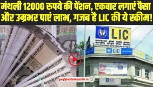 LIC Saral Pension Plan: हर महीने आपको मिलेगी 12000 रुपये की पेंशन, बस LIC की इस स्कीम में एक बार करना होगा निवेश 