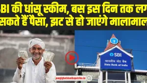 SBI FD Scheme: SBI की यह योजना कई निवेषकों के लिए बनी वरदान, बंपर मिल रहा है इंटरेस्ट रेट