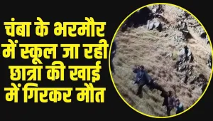 Himachal Chamba News: चंबा के भरमौर में स्कूल जा रही छात्रा की खाई में गिरकर मौत