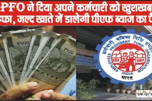 EPFO Interest Rate 2024 || EPFO ने दिया अपने कर्मचारी को खुशखबरी तोहफा, जल्द खाते में डालेगी पीएफ ब्याज का पैसा