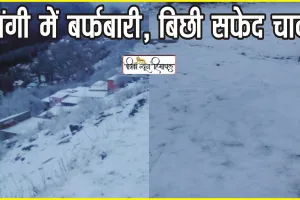 Fresh snowfall in Pangi ||  पांगी में  बिछी सफेद चादर, उपरले इलाकों में पांच इंच तक ताजा बर्फबारी, कई रूटों पर प्रभावित हुई एचआरटीसी