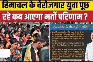 Himachal Hindi News || हिमाचल में भर्ती परीक्षाओं के रिज़ल्ट जारी न करने पर कांग्रेस ने तोड़ा युवाओं का भरोसा