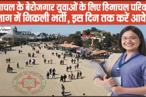 Himachal Job || हिमाचल के बेरोजगार युवाओं के लिए हिमाचल परिवहन विभाग में निकली भर्ती, इस दिन तक करें आवेदन