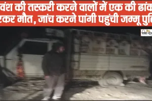 Chamba Pangi News || गौवंश की तस्करी करने वालों में एक की ढांक से गिरकर मौत, जांच करने पांगी पहुंची जम्मू पुलिस 