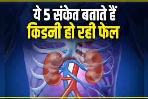 Symptoms of Kidney Disease || शरीर में दिखें ये लक्षण तो हो जाएं सतर्क, कहीं ऐसा तो नहीं कि यह किडनी से संबंधित दिक्कतें हो