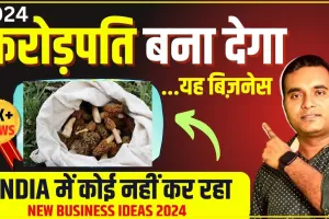 Best Business Idea ||  इन सब्जियों के बिजनेस से फौरन बन जाएंगे करोड़पति, कीमत सुनकर उड़ जाएंगे होश, ऐसे करें शुरू