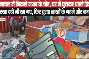 Himachal News || हिमाचल में निकले गजब के चोर, घर में घुसकर पहले फ्रिज में रखा दही भी खा गए, फिर चुराए लाखों के गहने और नगदी