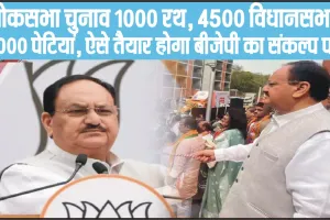 Loksabha election || लोकसभा चुनाव 1000 रथ, 4500 विधानसभा, 6000 पेटियां, ऐसे तैयार होगा बीजेपी का संकल्प पत्र